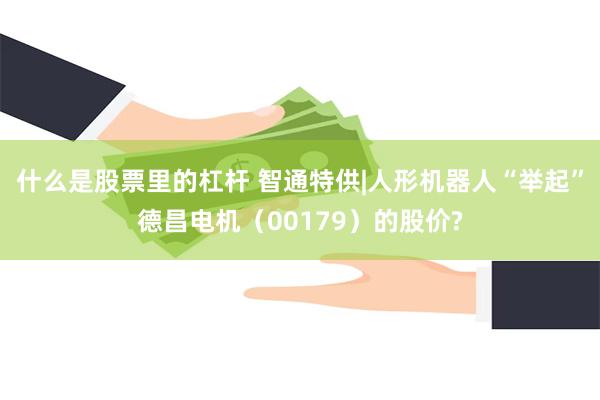 什么是股票里的杠杆 智通特供|人形机器人“举起”德昌电机（00179）的股价?
