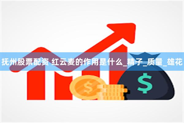抚州股票配资 红云麦的作用是什么_精子_质量_雄花
