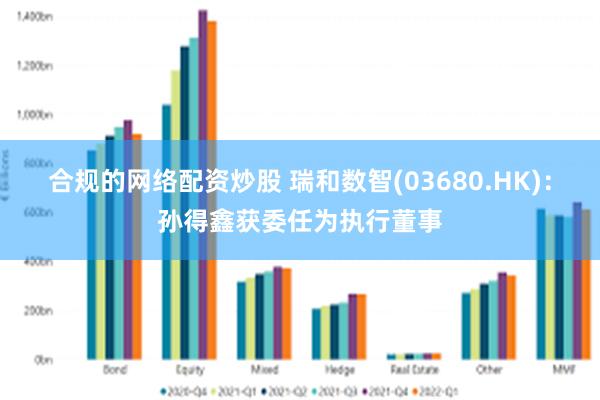 合规的网络配资炒股 瑞和数智(03680.HK)：孙得鑫获委任为执行董事