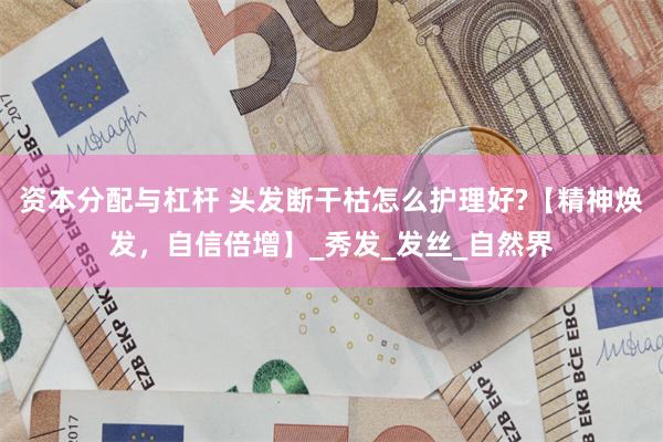 资本分配与杠杆 头发断干枯怎么护理好?【精神焕发，自信倍增】_秀发_发丝_自然界