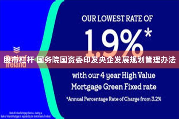 股市杠杆 国务院国资委印发央企发展规划管理办法