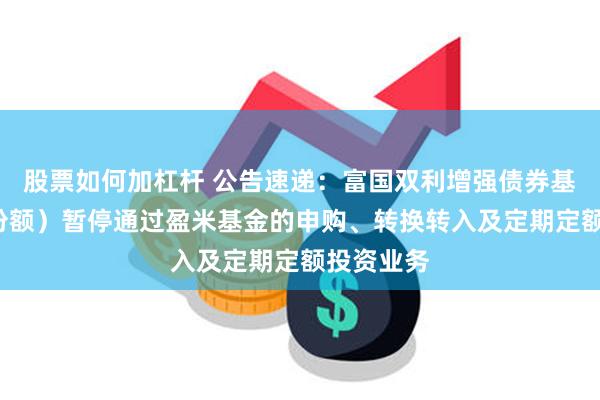 股票如何加杠杆 公告速递：富国双利增强债券基金（C类份额）暂停通过盈米基金的申购、转换转入及定期定额投资业务