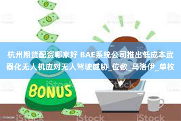 杭州期货配资哪家好 BAE系统公司推出低成本武器化无人机应对无人驾驶威胁_位数_马洛伊_单枚